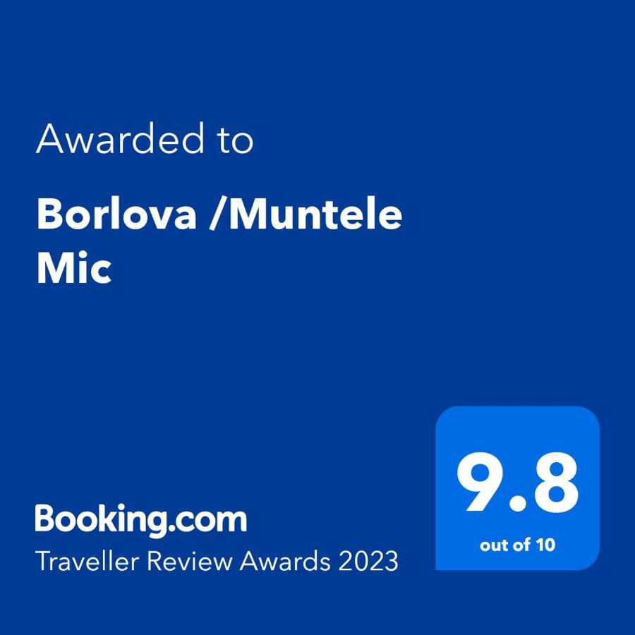 מלון Borlova /Muntele Mic מראה חיצוני תמונה